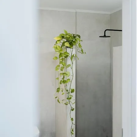 Magnolia Thassos * פוטוס